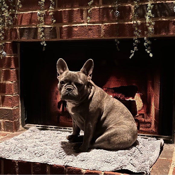 Thank Your Share Show Host - read description! - Picture 11 of 15